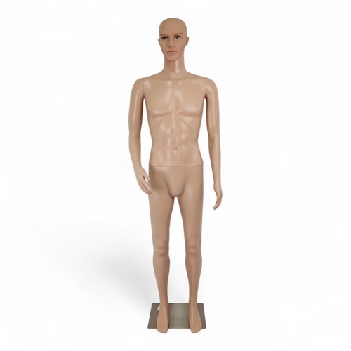 185cm male mannequin - mannequin, full