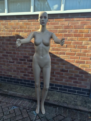 Woman mannequin display - mannequin,