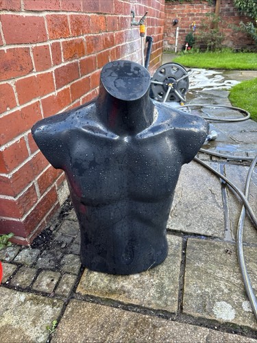 Male mannequin half torso - mannequin,